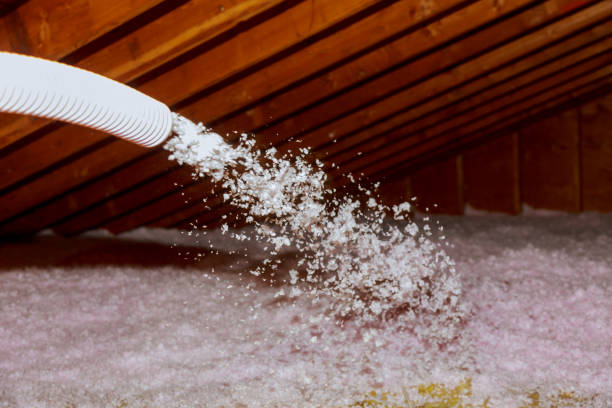 Best Insulation Installation Services in Rosemount, MN
