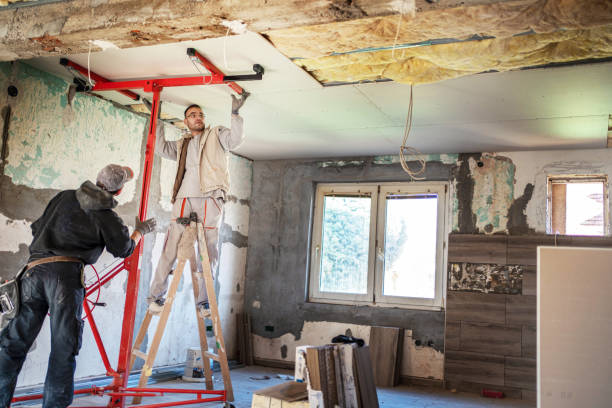 Best Insulation Maintenance and Repair in Rosemount, MN