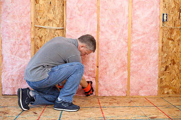 Best Types of Insulation in Rosemount, MN